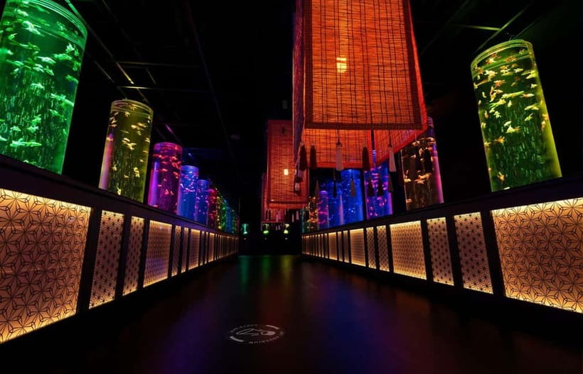 Tokyo: Art Aquarium Museum GINZA Entry Ticket - Who this fits best (and who should skip)