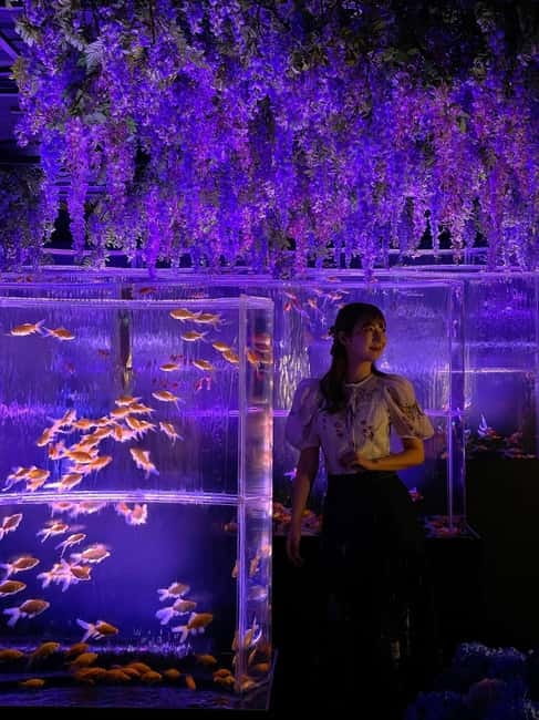 Tokyo: Art Aquarium Museum GINZA Entry Ticket - What makes this art aquarium different from a regular aquarium