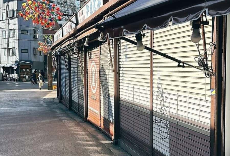 Tokyo: Asakusa, Kappabashi, and Ueno Walking Tour - How to shop without losing the plot