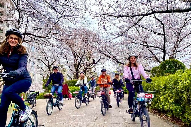 Tokyo Cherry Blossoms blooming spots E-bike Tour, 3hrs - Key tour takeaways (before you book)