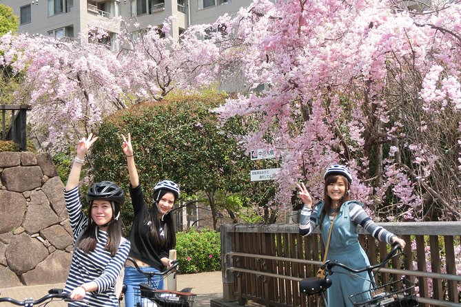 Tokyo Cherry Blossoms blooming spots E-bike Tour, 3hrs - Why an E-bike works so well for Tokyo’s cherry blossoms