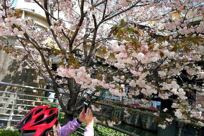Tokyo Cherry Blossoms blooming spots E-bike Tour, 3hrs - Stop-by-stop: Chidorigafuchi and the Yasukuni Shrine photo moment