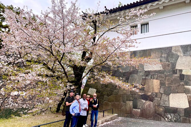 Tokyo Cherry Blossoms blooming spots E-bike Tour, 3hrs - Sotobori Park, Hibiya Park, and how the ride stays scenic