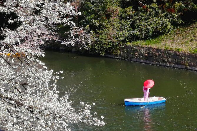 Tokyo Cherry Blossoms blooming spots E-bike Tour, 3hrs - Kensei Kinenkan: your last on-foot viewing break