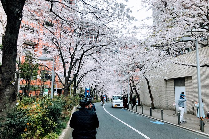 Tokyo Cherry Blossoms blooming spots E-bike Tour, 3hrs - Guides and the human factor: why the stories add value