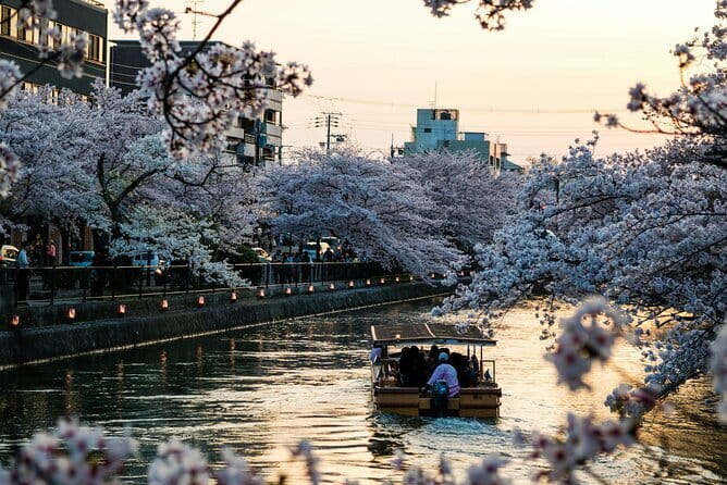 Tokyo City Adventures Private English Tour With Hotel Pickup - Key things to know before you go