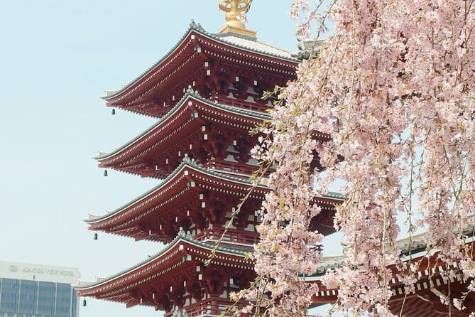 Tokyo City Adventures Private English Tour With Hotel Pickup - Your Tour Value: What $453.98 Really Buys