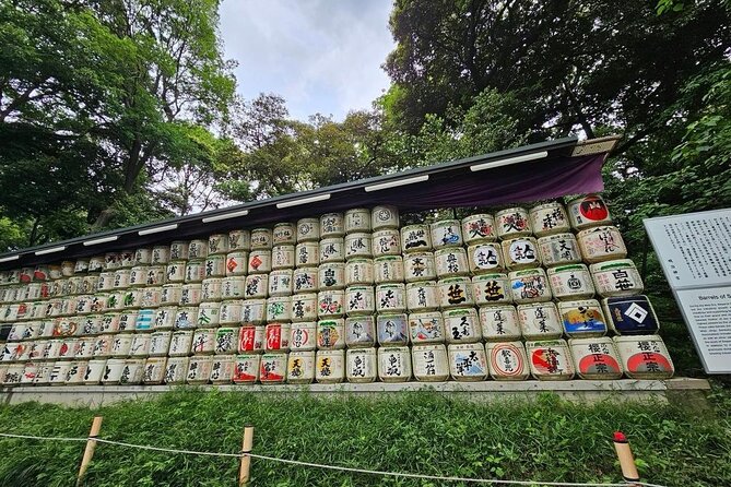 Tokyo City Attractive One Day Tour - A smart way to see Tokyo in one day (without frying)