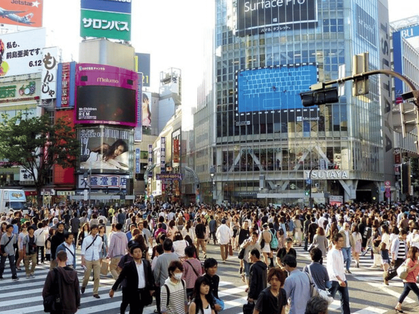 Tokyo City: Customize Day Tour English Speaking Chauffer - The 10-hour format: how the timing really works