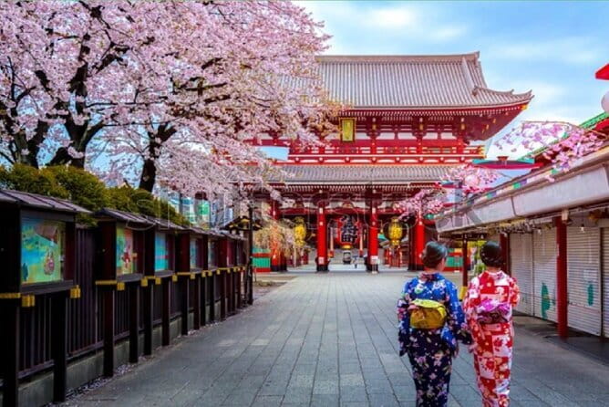 Tokyo City Tour by Private Car & English guide - Key takeaways before you book