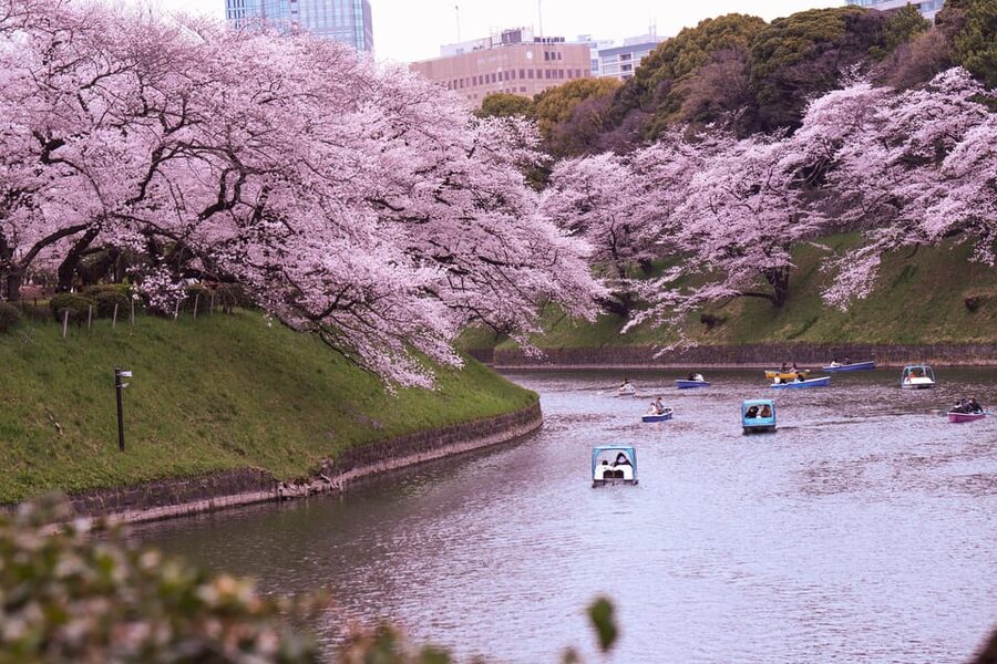 Tokyo: City Tour Tokyo With Driver - Who This Tour Fits Best (and Who Should Reconsider)
