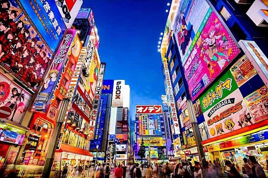 Tokyo: City Tour Tokyo With Driver - Tsukiji Outer Market: Food That’s Part of the Experience