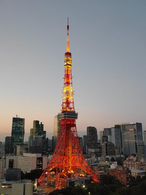 Tokyo: City Tour Tokyo With Driver - Price and Value: When $377 Per Group Actually Makes Sense