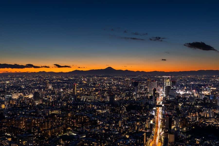 Tokyo City View (Indoor Observation Deck) Admission Ticket - Exhibits and seasonal changes: why this isn’t only a photo stop
