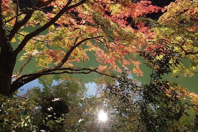 Tokyo Countryside Exploration Private Tour - What makes this Tokyo countryside day feel special