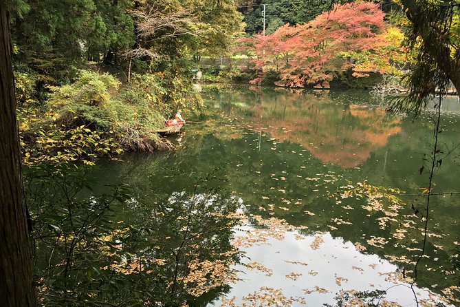Tokyo Countryside Exploration Private Tour - Hanno’s Bamboo Temple and the shy deer-monkey crowd