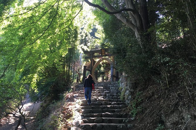 Tokyo Countryside Exploration Private Tour - Arima Dam drive-by: My Neighbor Totoro’s roots