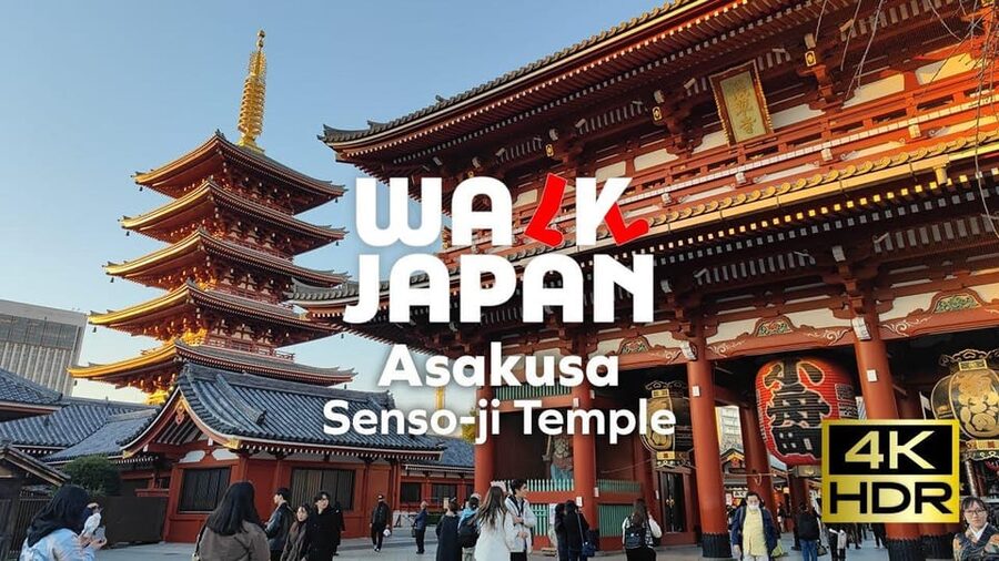 Tokyo: Customizable Day Trip Within Tokyo & English-Driver - Key moments you’ll care about