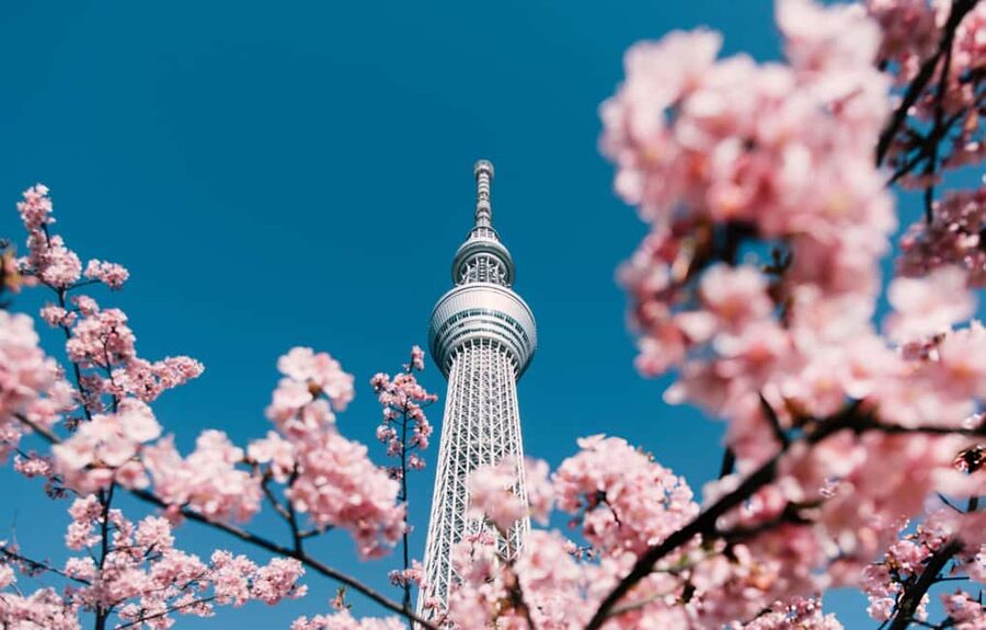 Tokyo: Customizable Day Trip Within Tokyo & English-Driver - Odaiba and Palette Town: the future-Tokyo break you’ll remember