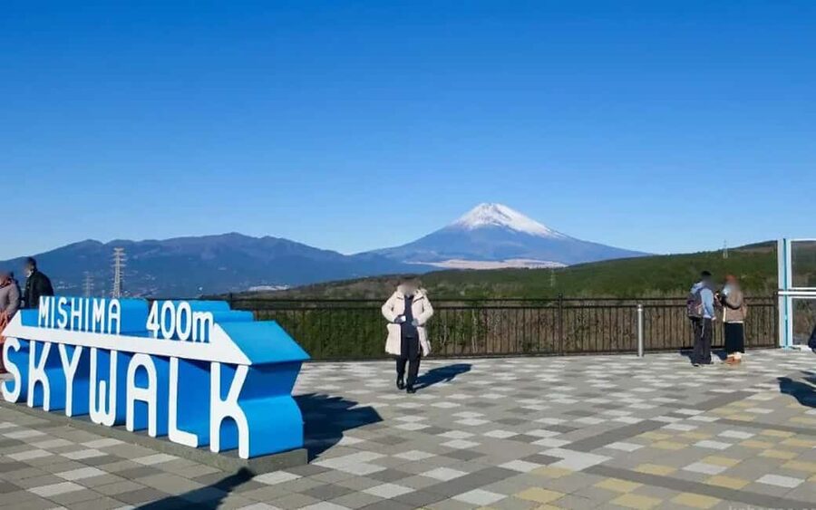 Tokyo:Customizable Private Day Trip to Mt.Fuji & Safari Park - Key things I’d circle before you go