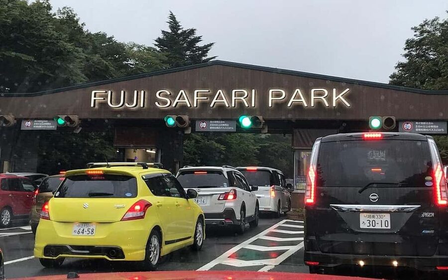 Tokyo:Customizable Private Day Trip to Mt.Fuji & Safari Park - Mishima Sky Walk: the suspension-bridge vibe with big views