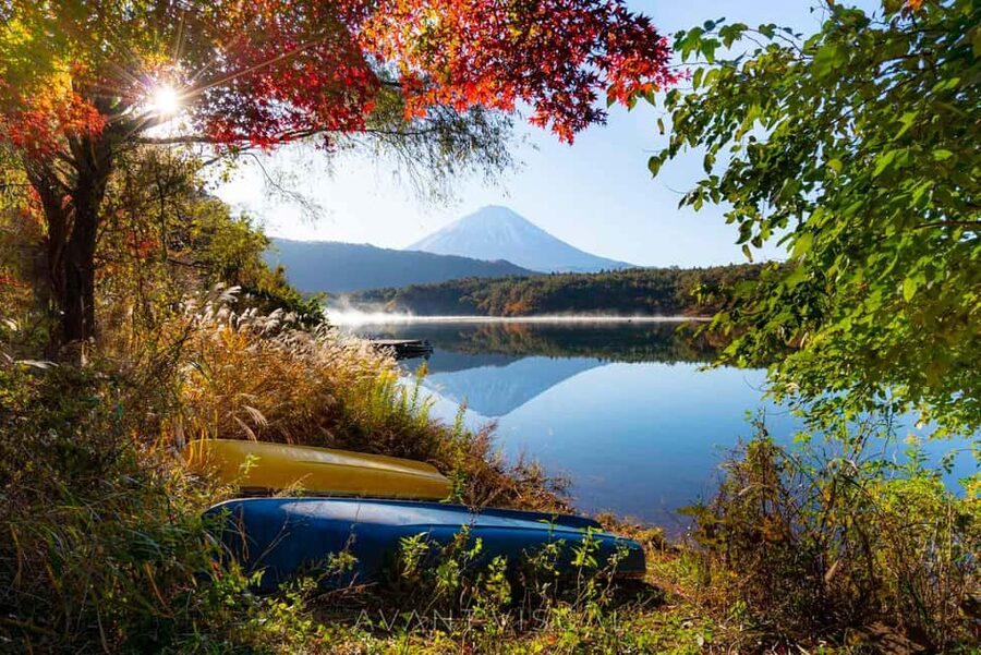 Tokyo:Customizable Private Day Trip to Mt.Fuji & Safari Park - Oshino Hakkai and Lake Kawaguchiko: the classic Fuji-photo approach