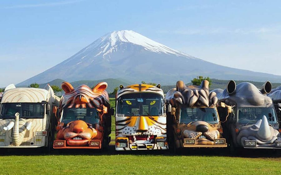 Tokyo:Customizable Private Day Trip to Mt.Fuji & Safari Park - Mt. Fuji 5th Station: great when it’s possible, handled smart when it isn’t