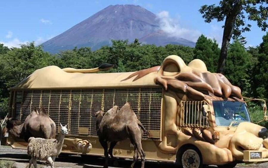 Tokyo:Customizable Private Day Trip to Mt.Fuji & Safari Park - The five-lake loop: Lake Yamanaka often wins the heart