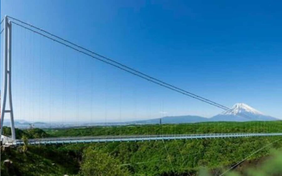 Tokyo:Customizable Private Day Trip to Mt.Fuji & Safari Park - Price for up to 6: what $322 per group really buys