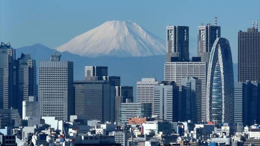 Tokyo: Customizable Private Guided Walking Tour - Quick highlights you can count on