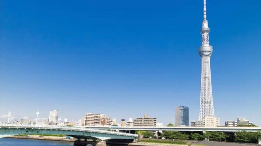 Tokyo: Customizable Private Guided Walking Tour - Imperial Palace area: calm grounds and photo-smart timing