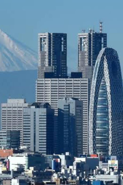 Tokyo: Customizable Private Guided Walking Tour - Price and value at $87 per person