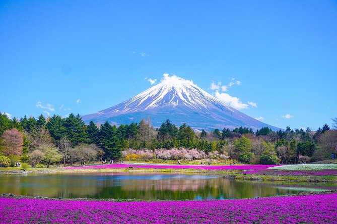 Tokyo: Customized Mt. Fuji & Hakone Sightseeing Private Day Trip - Key things to know before you go