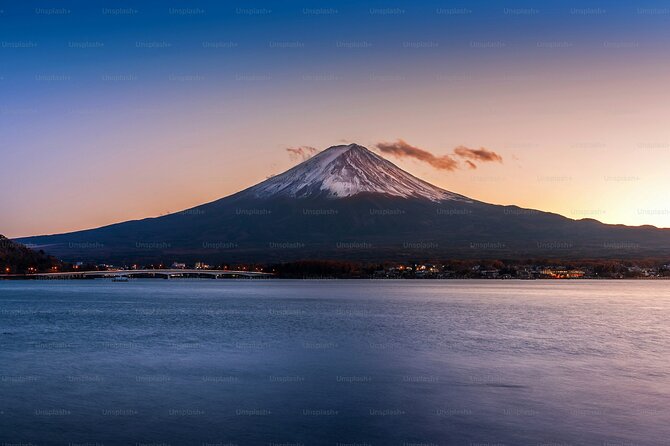 Tokyo: Customized Mt. Fuji & Hakone Sightseeing Private Day Trip - Why this private Fuji-and-area day works better than bus tours