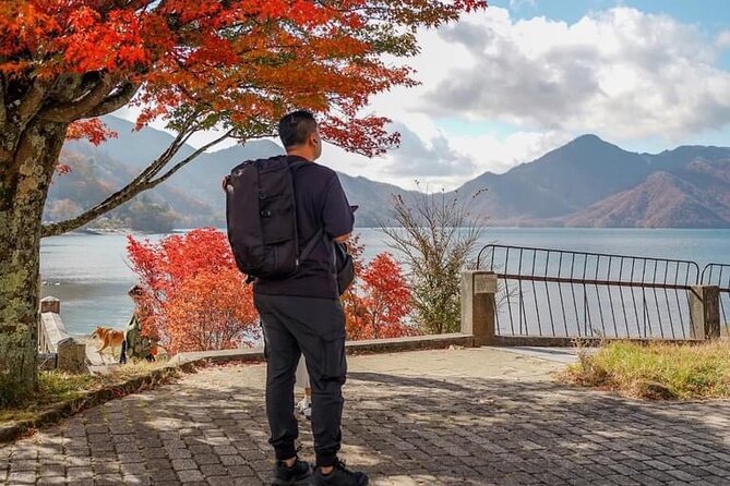Tokyo: Customized Mt. Fuji & Hakone Sightseeing Private Day Trip - What makes the experience feel easy (beyond the car)