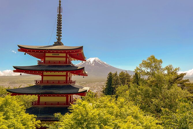 Tokyo: Customized Mt. Fuji & Hakone Sightseeing Private Day Trip - Who this day trip is best for