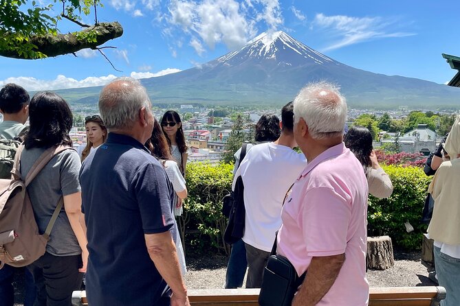 Tokyo: Customized Mt. Fuji & Hakone Sightseeing Private Day Trip - Should you book this Tokyo private day trip?