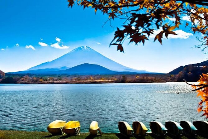 Tokyo: Customized Mt. Fuji & Hakone Sightseeing Private Day Trip - Price and value: what you’re really paying for