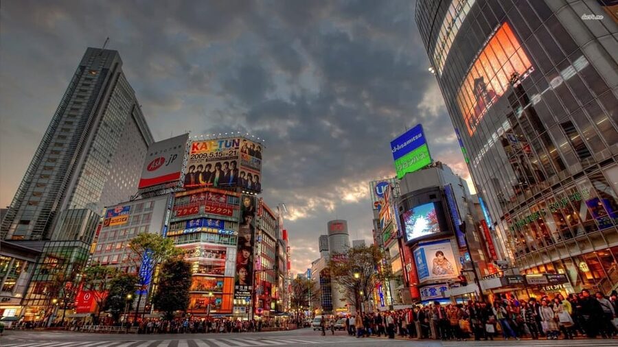 Tokyo: Customized Private Tour with a Local Guide - Key Points You’ll Care About Before You Go
