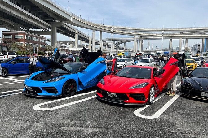 Tokyo Daikoku PA. Custom Car Tour - Why Daikoku Parking Area is worth the late-night logistics