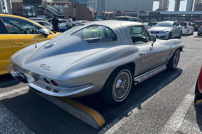 Tokyo Daikoku PA. Custom Car Tour - Price and value: what $145 gets you in Tokyo car-culture time