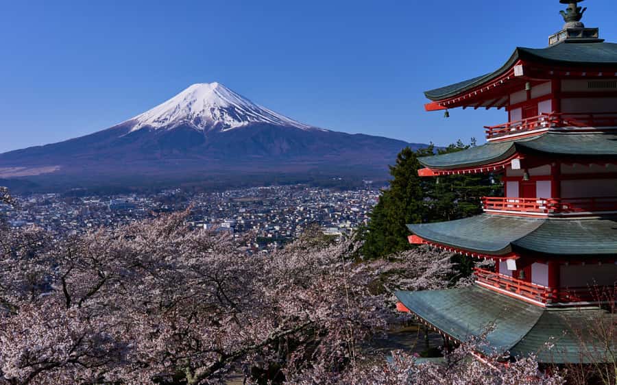 Tokyo day trip -Mount Fuji Private Tour from Tokyo - Key moments that make this tour worth your time
