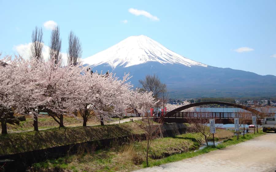 Tokyo day trip -Mount Fuji Private Tour from Tokyo - How this private Mount Fuji day trip actually plays out