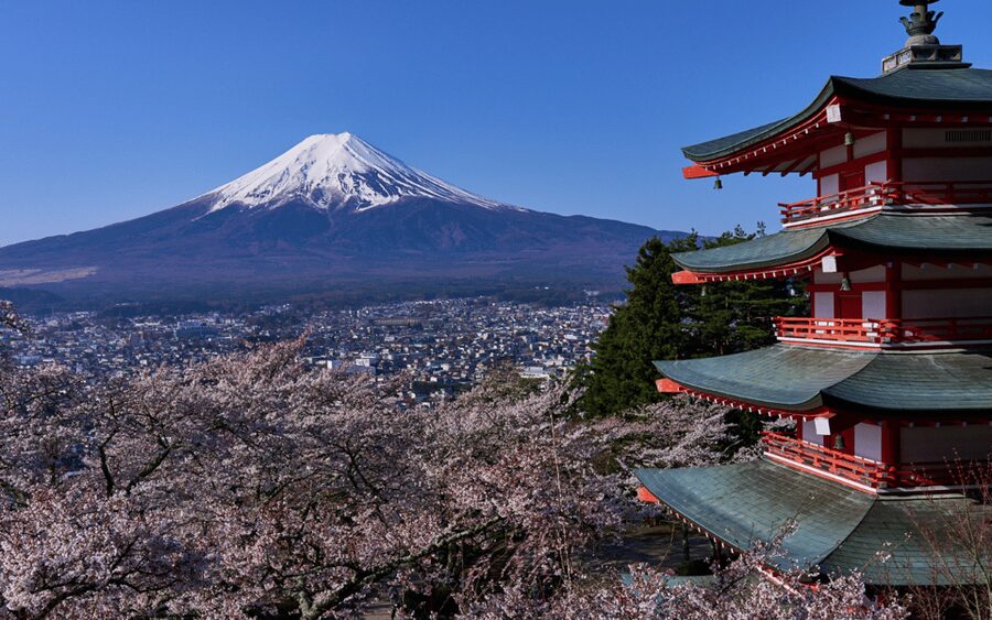 Tokyo day trip -Mount Fuji Private Tour from Tokyo - Oshino Hakkai: the calm historic village stop
