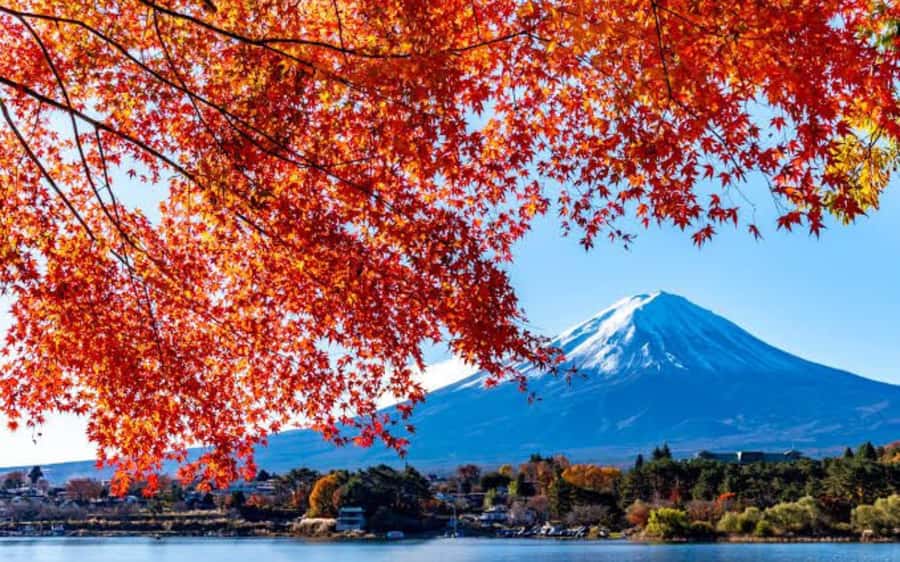 Tokyo day trip -Mount Fuji Private Tour from Tokyo - Mount Fuji viewpoint/hike time: 1 hour that can mean a lot