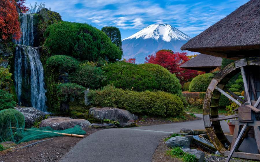 Tokyo day trip -Mount Fuji Private Tour from Tokyo - Starting in Tokyo: pickup that sets the tone