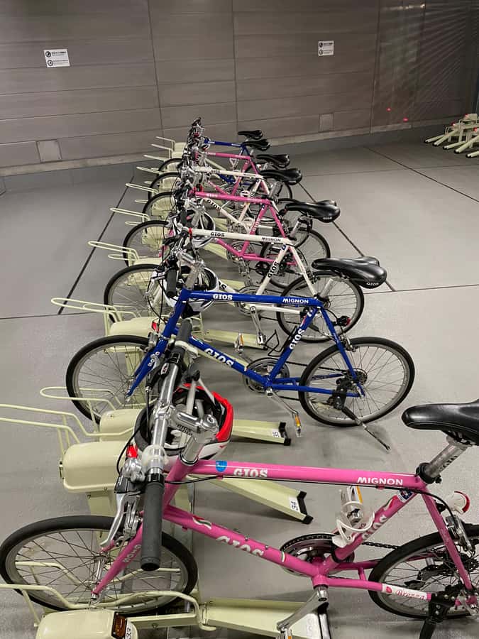 Tokyo: Discover Traditional Tokyo Full-Day Bicycle Tour - Should you book this Tokyo full-day bicycle tour?