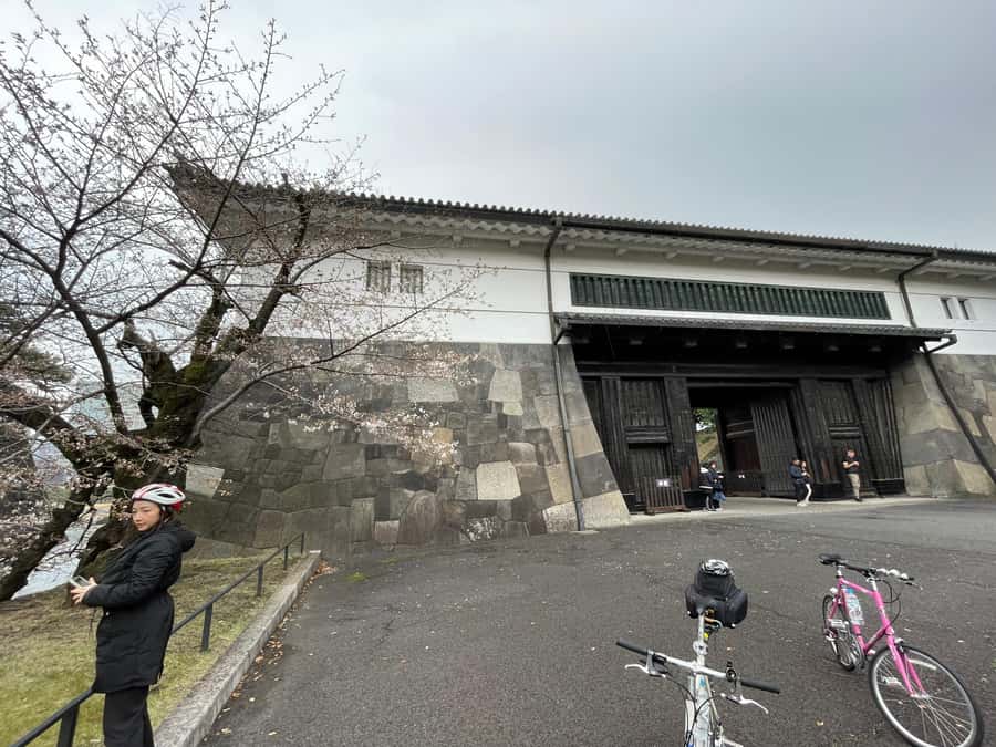 Tokyo: Discover Traditional Tokyo Full-Day Bicycle Tour - Safety, comfort, and those small details that matter in Tokyo