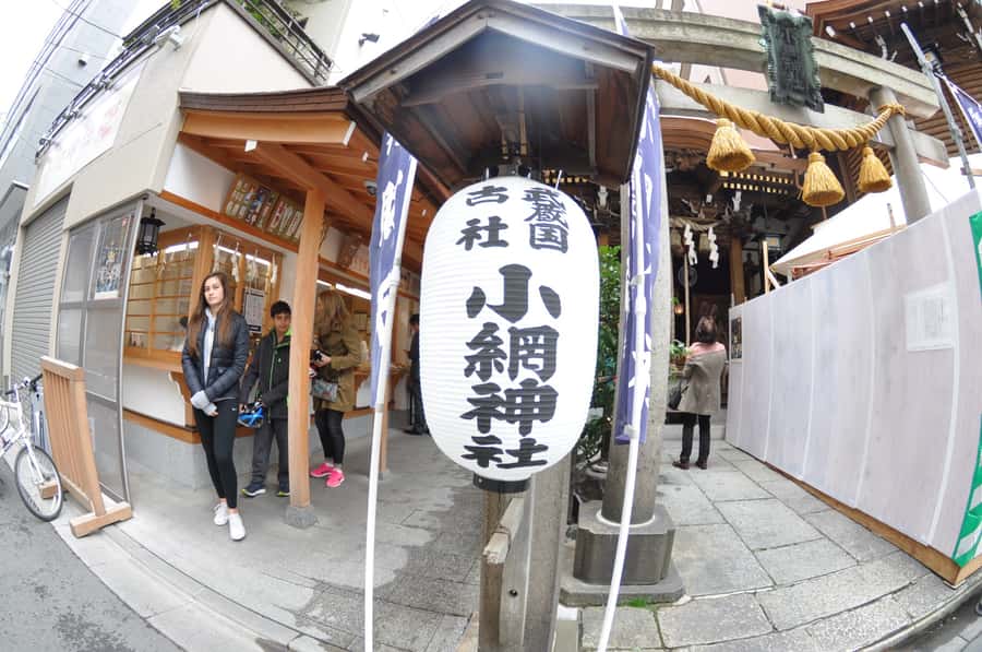 Tokyo: Discover Traditional Tokyo Full-Day Bicycle Tour - Booking checklist: practical things to prep before you meet your guide