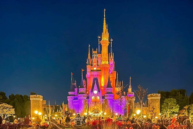 Tokyo Disney Resort Park E-Tickets with Options - Who This Works Best For